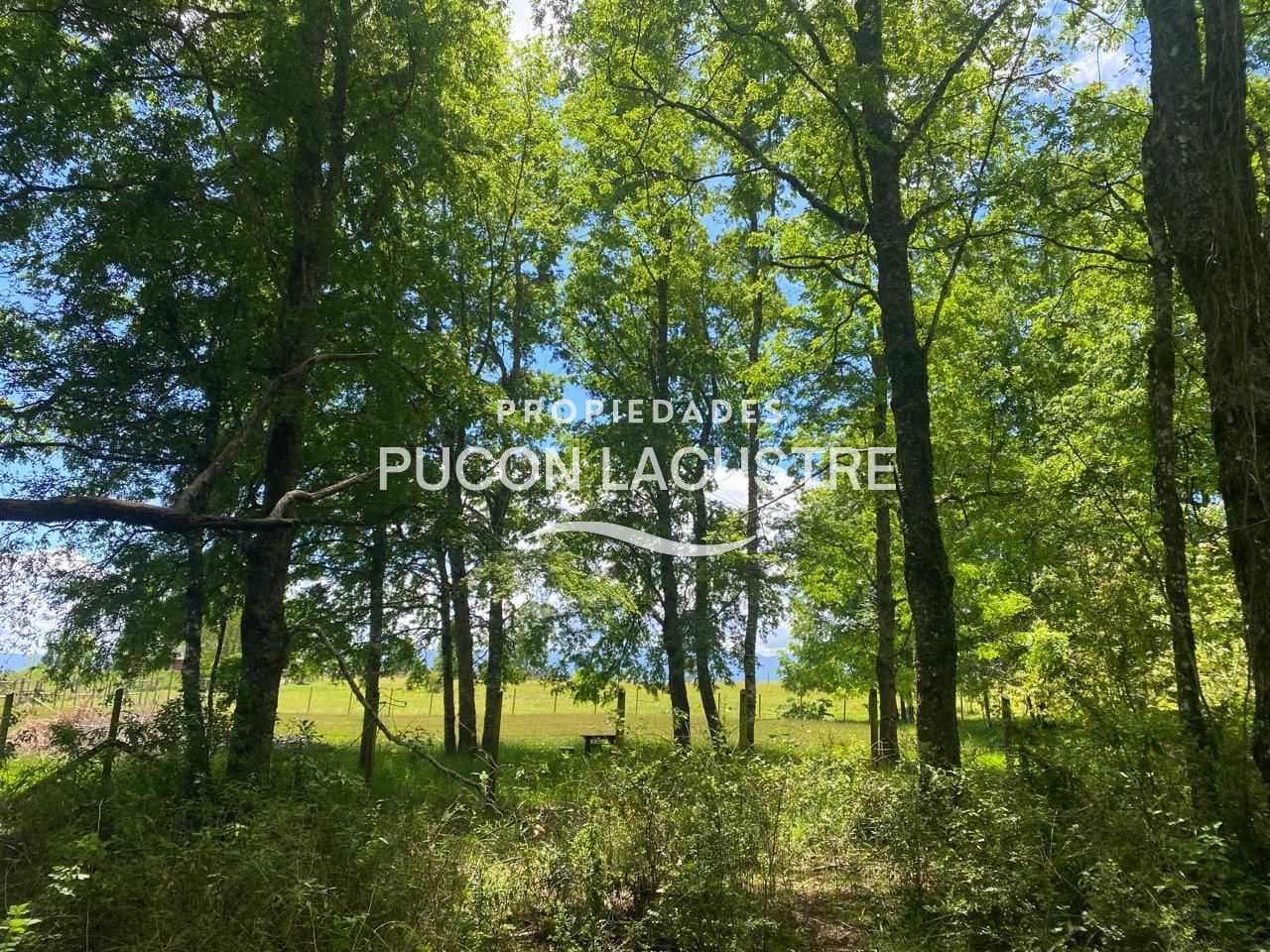VENTA PARCELA CON ESTERO LOS RISCOS - PUCON (170216)