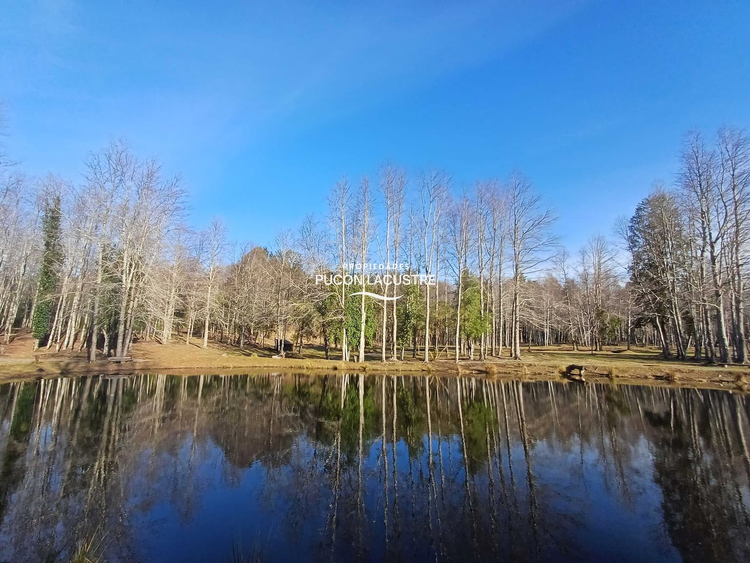 Refugio natural en Pucón (181237)