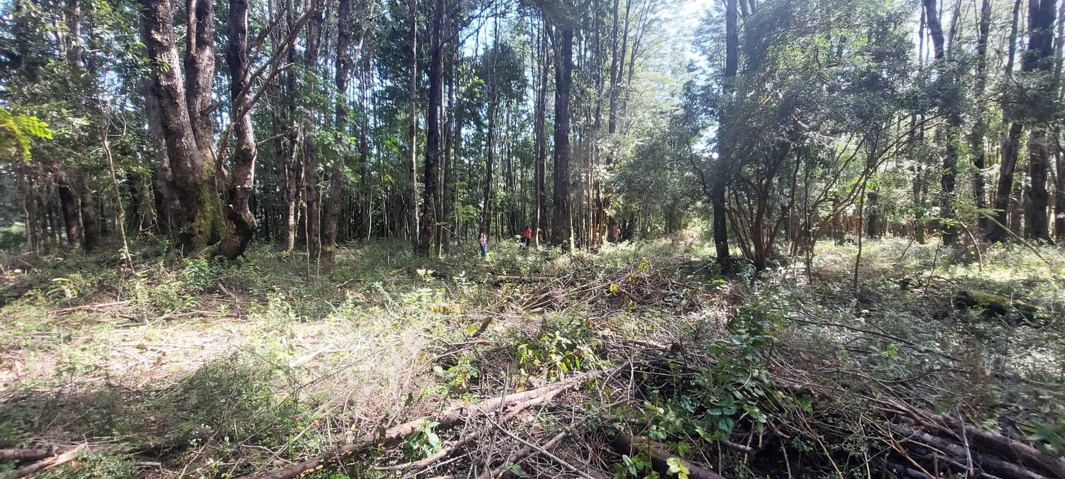 Venta Parcela Villarrica Altos De Pino Huacho (144118)