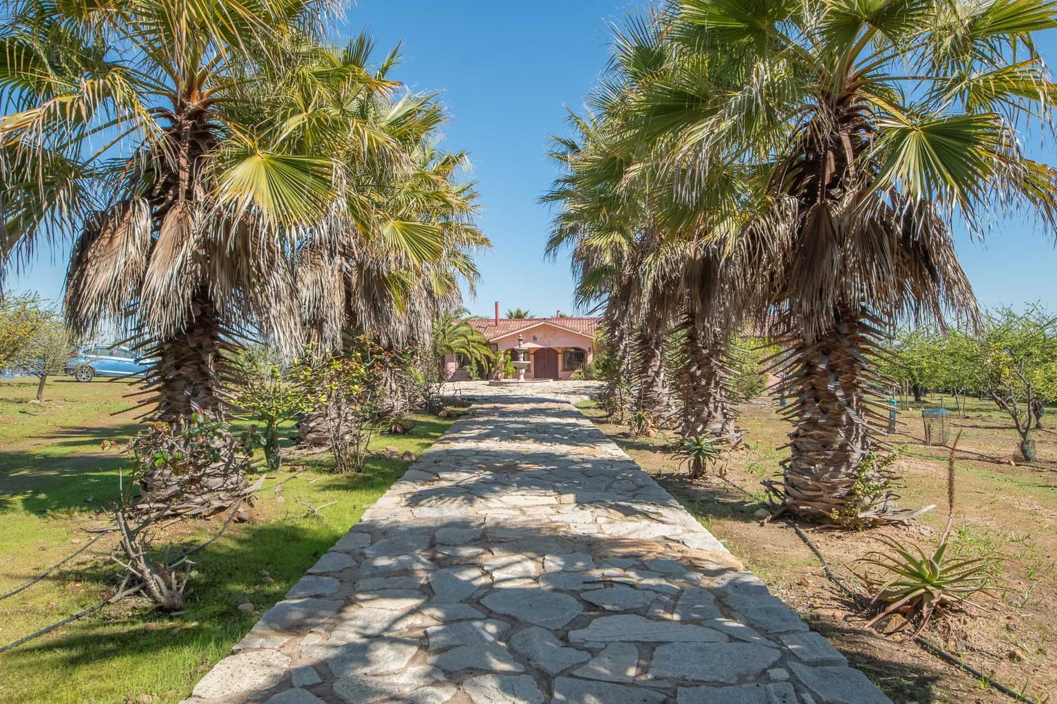 Amplia Parcela en venta (138216)