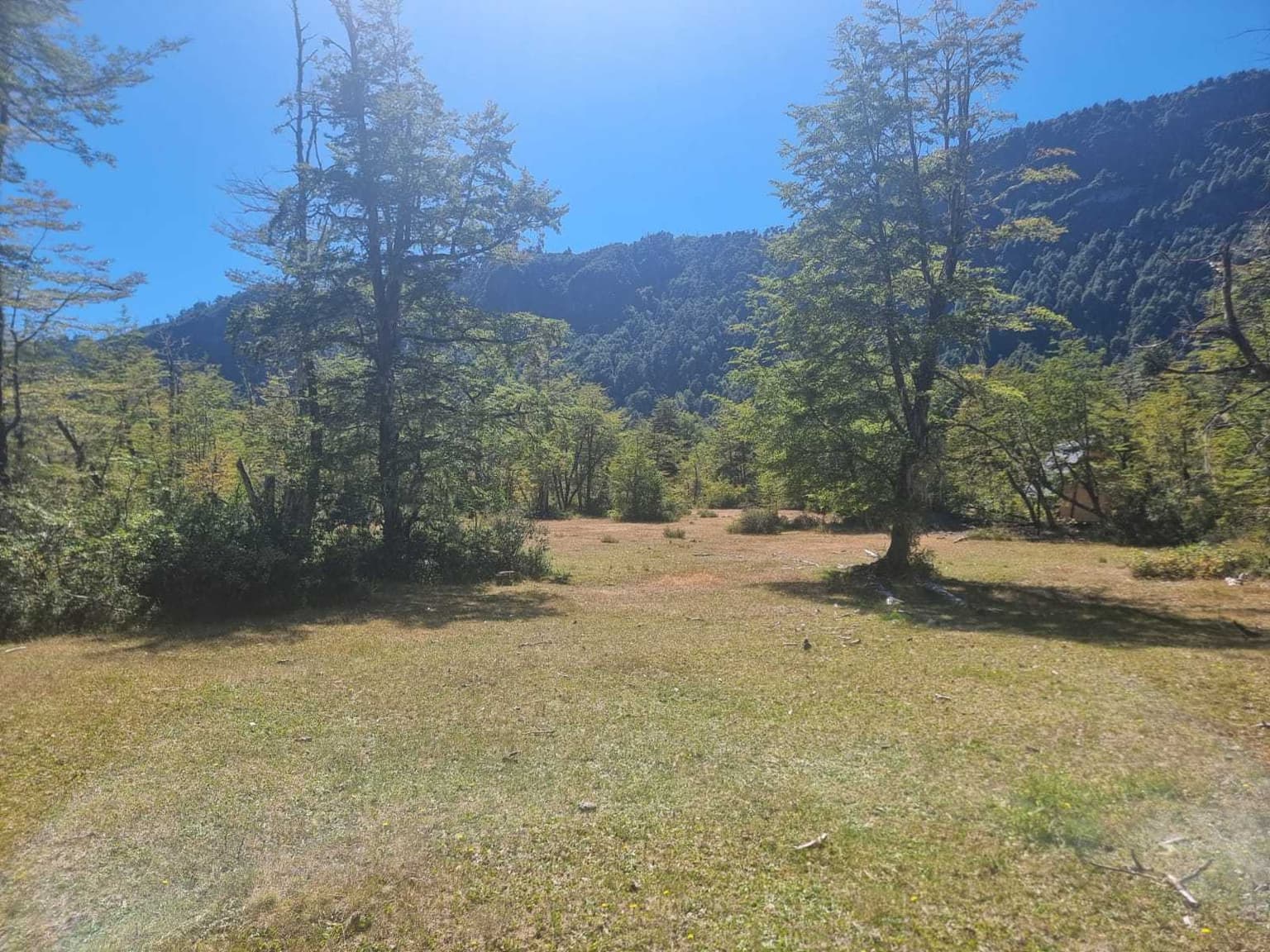 Entre ríos y bosques, Pucón (141862)