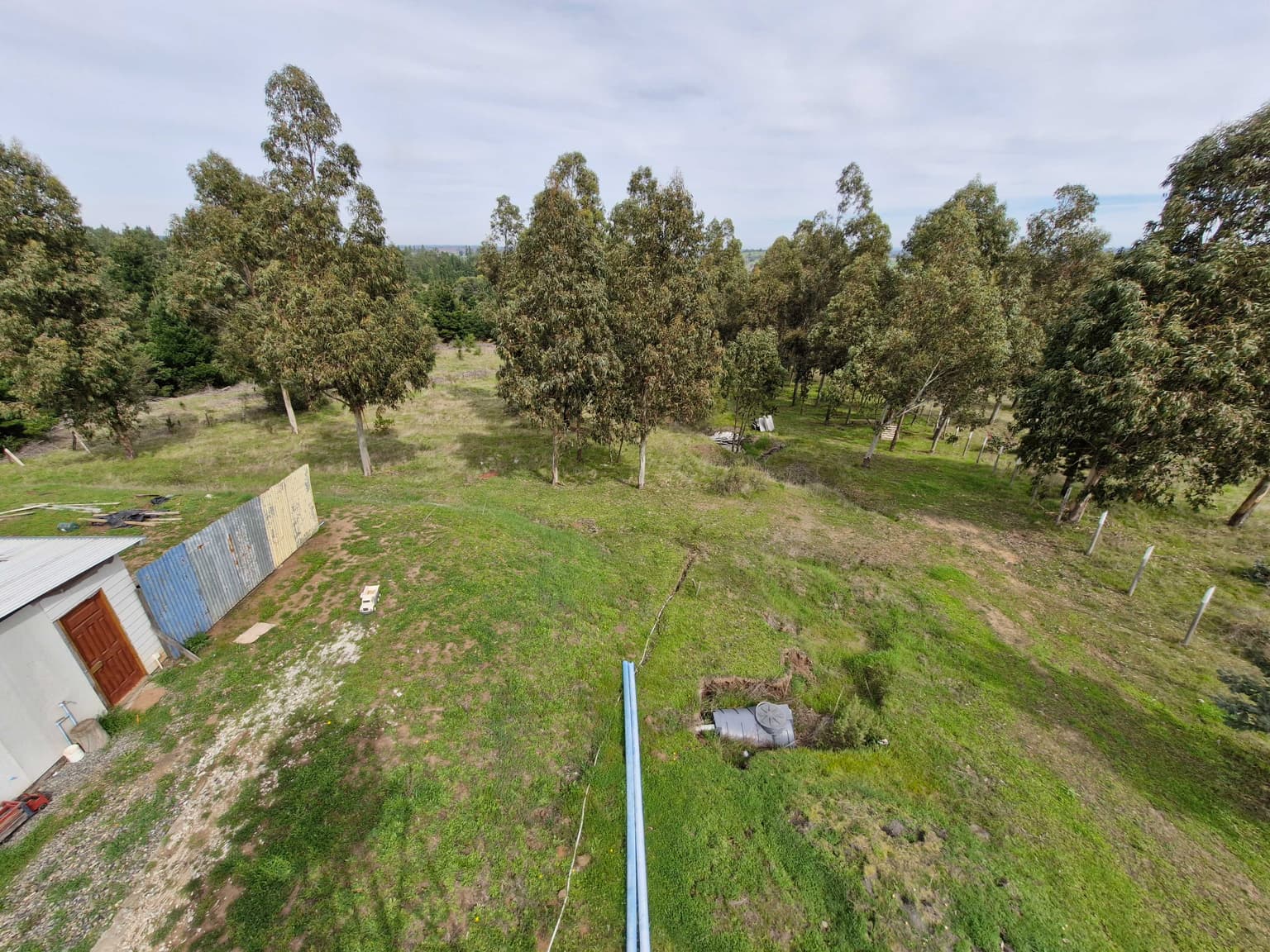 Terreno con agua, luz y bosque nativo (132446)