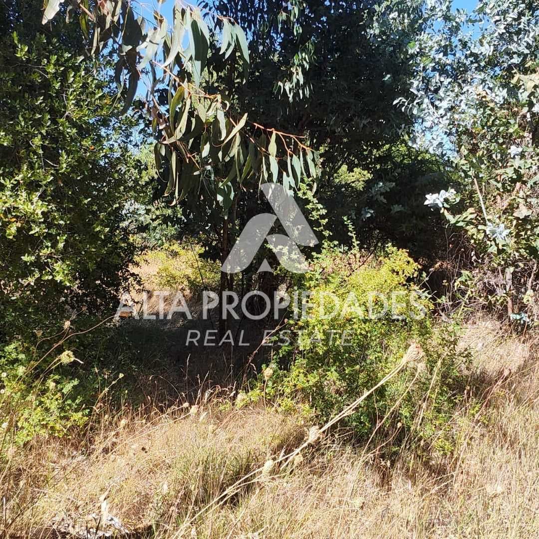 Inversión Ideal con Gran Potencial (132525)