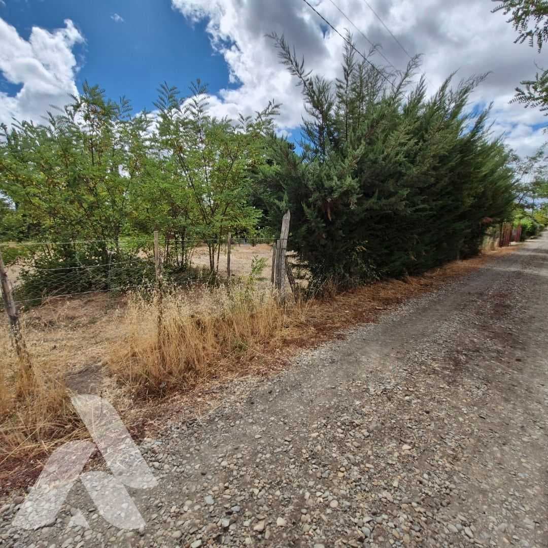 Ideal para Tu Proyecto Soñado (132634)