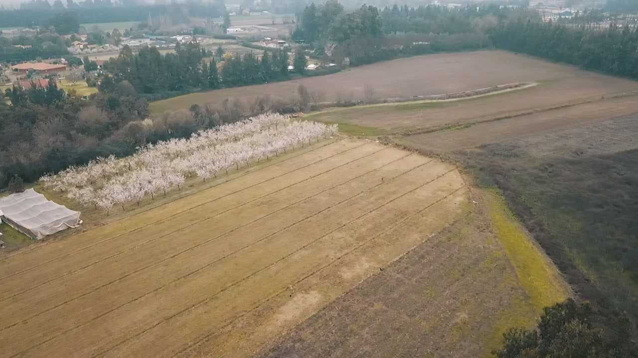 Terreno 40.000 m² | Paine Ruta 5 Sur (180368)