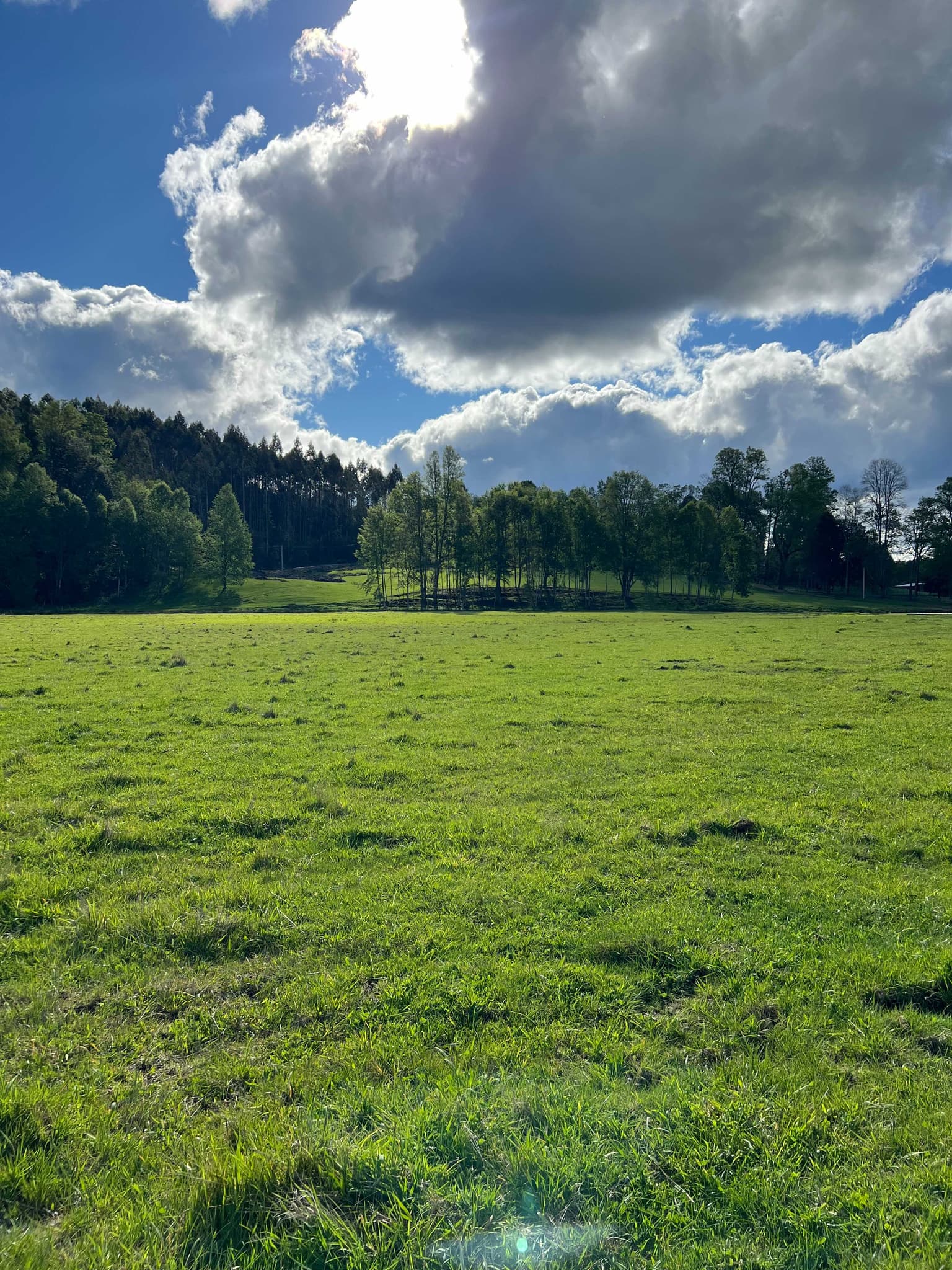 Terreno en venta Villarrica 5.000ha (139342)