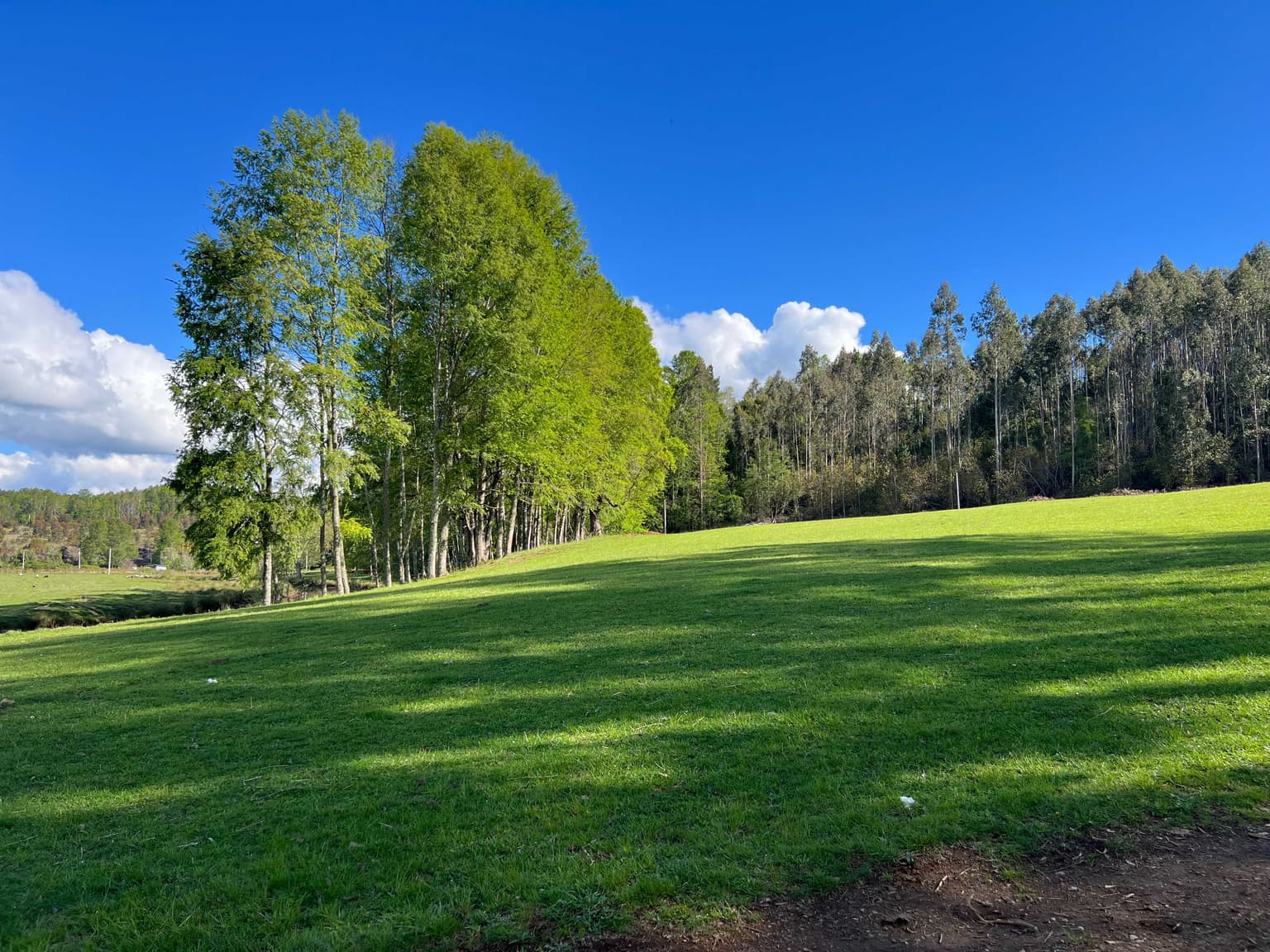 Terreno en venta Villarrica 5.000ha (139342)