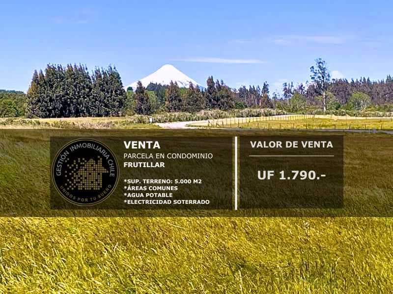 Oportunidad de Inversión en Entorno Natural (146914)