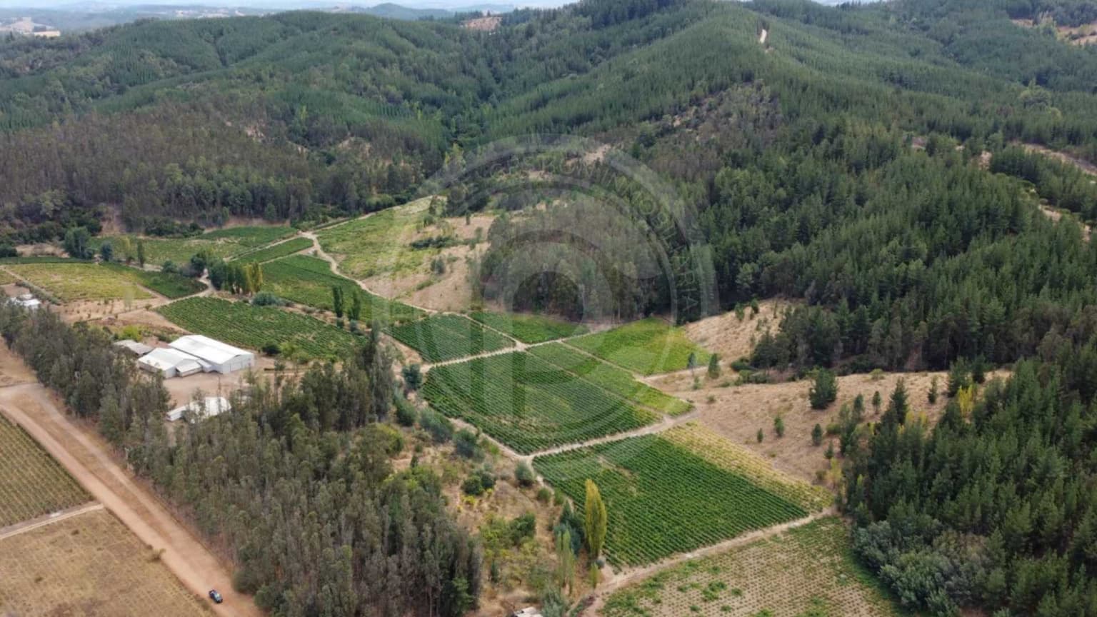 Viña con entrega de llaves, Valle Itata (155130)