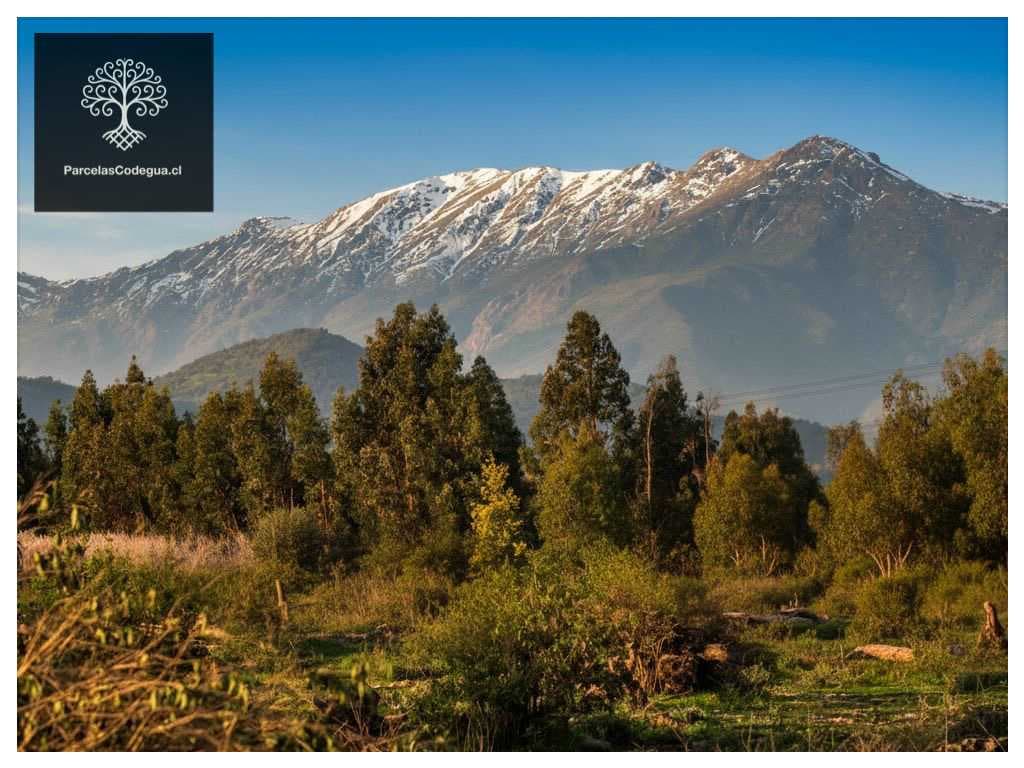 Venta Parcela en Codegua 10 min Ruta 5 Sur (144729)