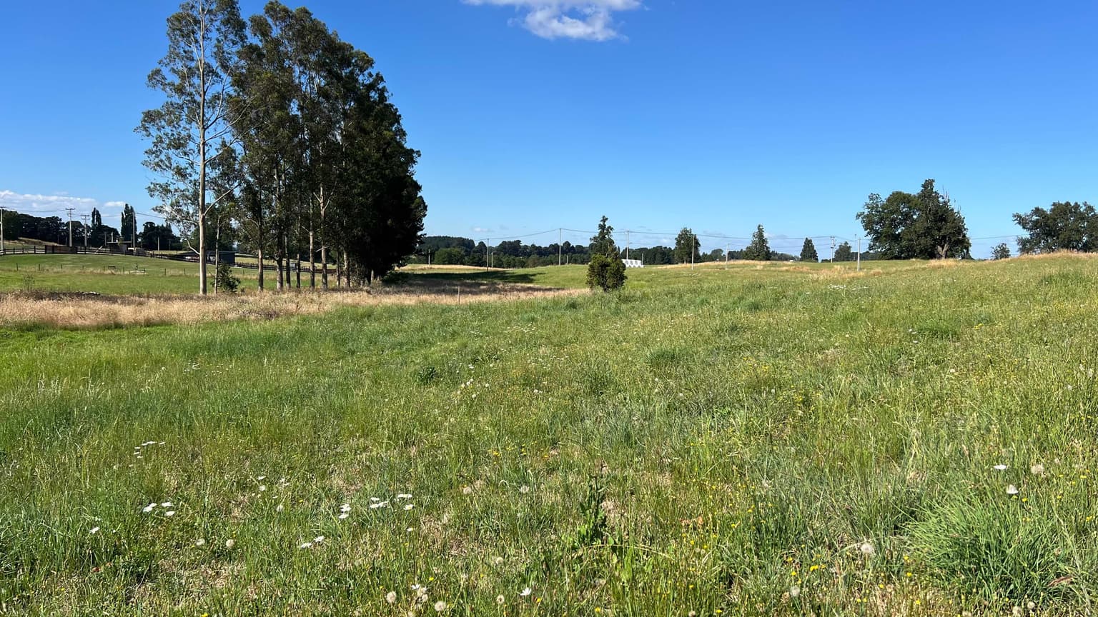 Oportunidad de Inversión en Terreno Espacioso (172533)