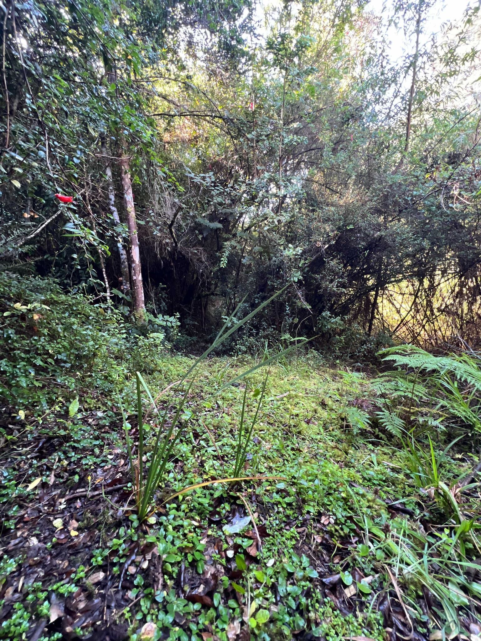 Amplio Terreno en Entorno Natural Único (153933)