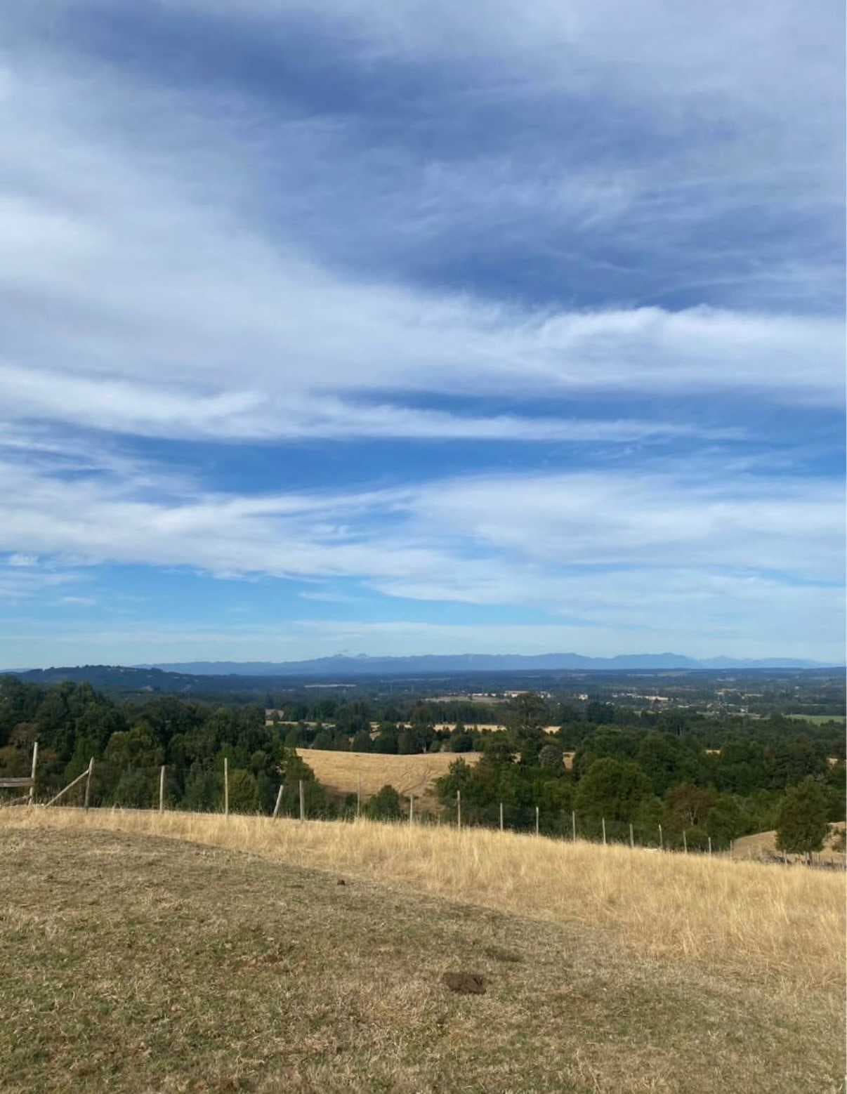 Amplias Parcelas con Vistas Panorámicas (178602)