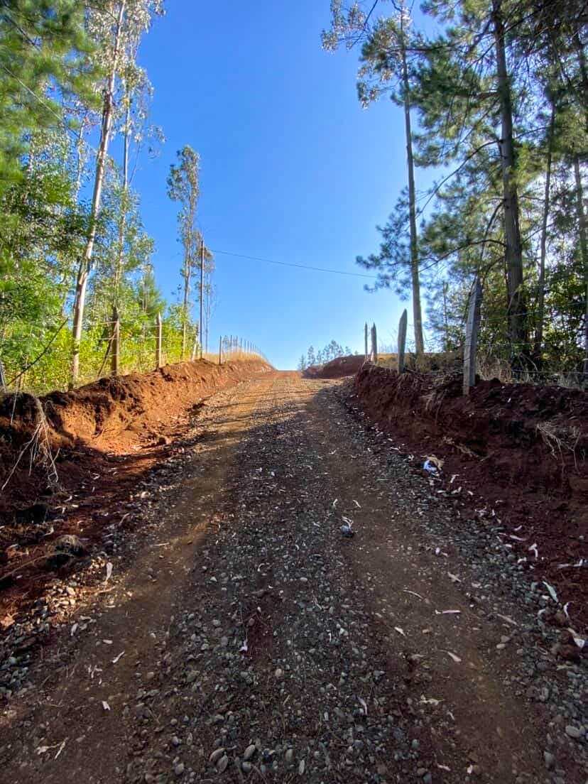 Oportunidad de Inversión en Entorno Natural (158802)