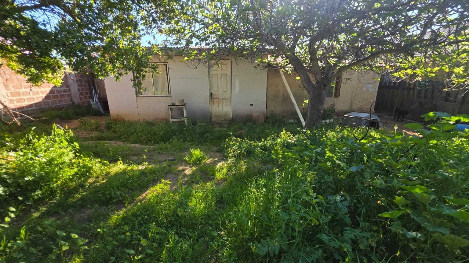 Terreno con casa alto potencial (183478)