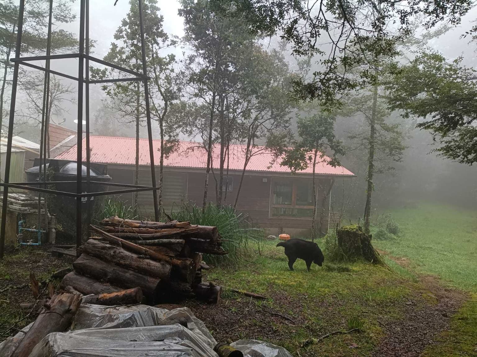 Naturaleza a un paso de Valdivia (180094)