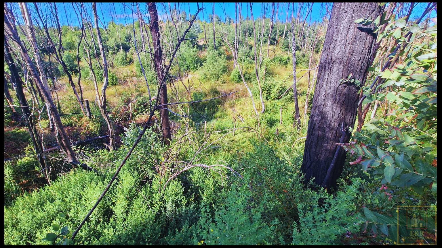 SE VENDEN TERRENOS EN SANTA JUANA , RURAL (104525)
