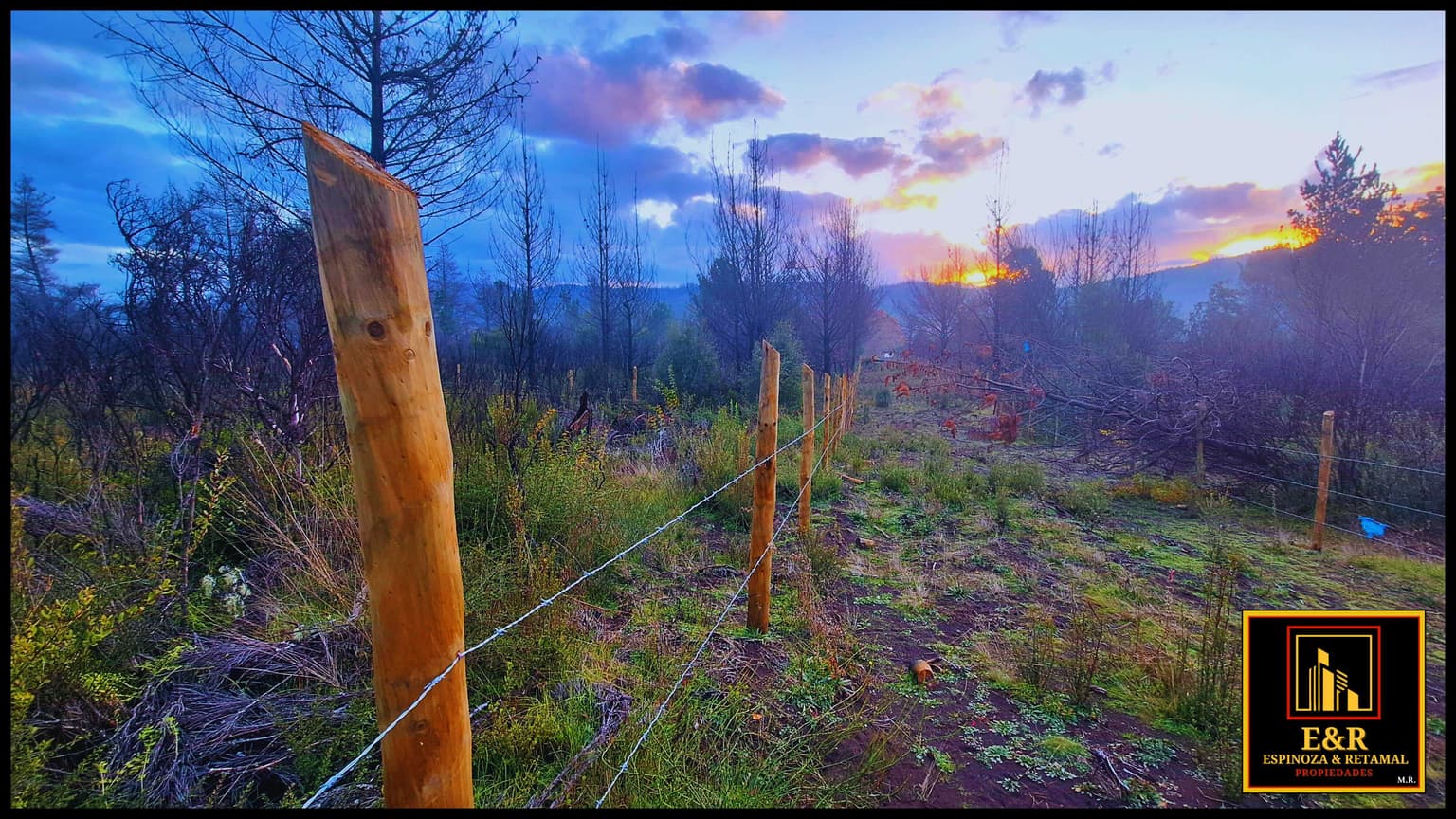 Loteo en Curaco; Comuna de Santa Juana (63112)