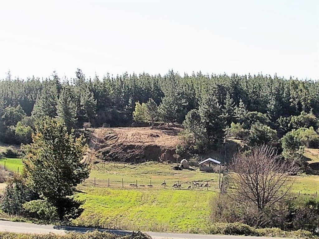 Cauquenes camino a Chanco, M-50 / 4 hectáreas (116374)