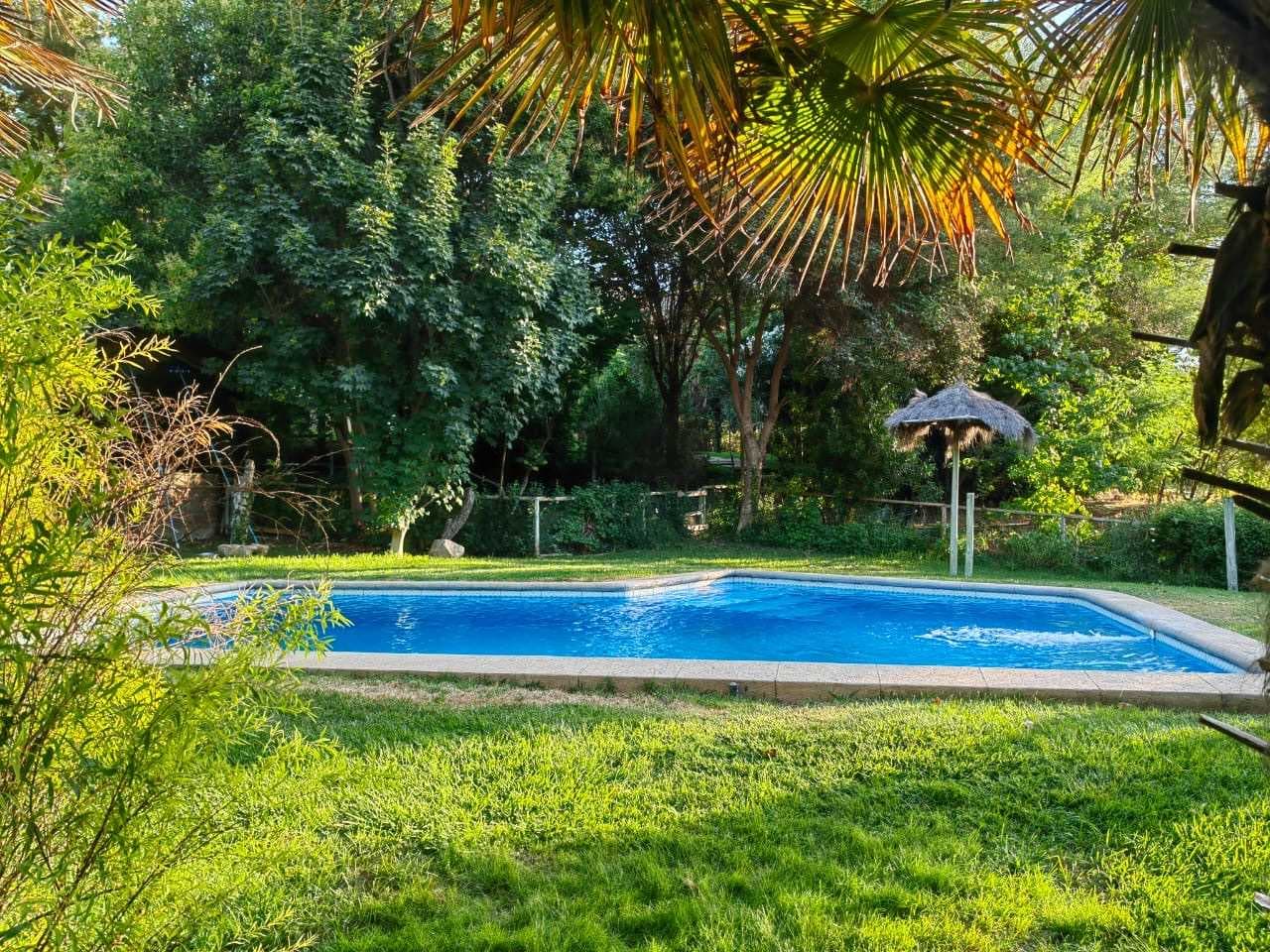 Curacaví, 11.000 m2/jardín, arboles nativos (157123)