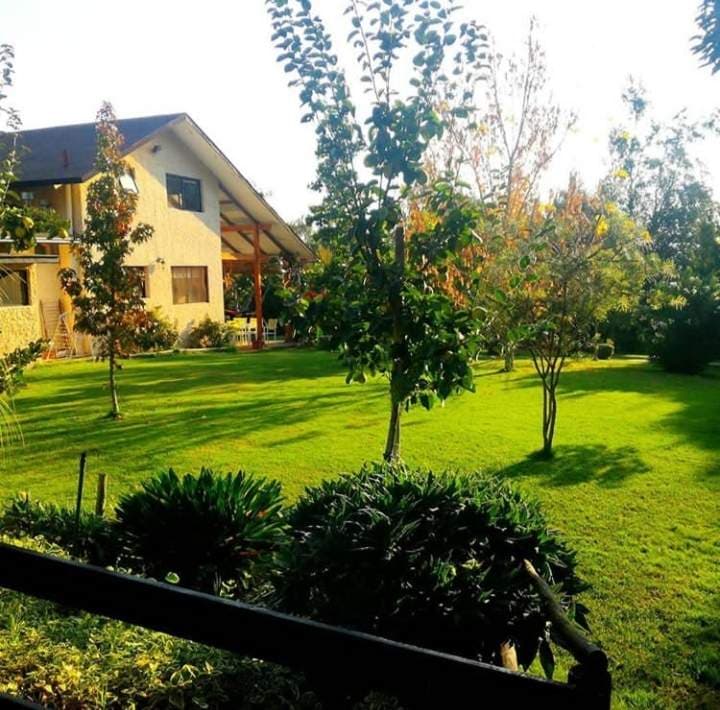 Curacaví, 11.000 m2/jardín, arboles nativos (157123)