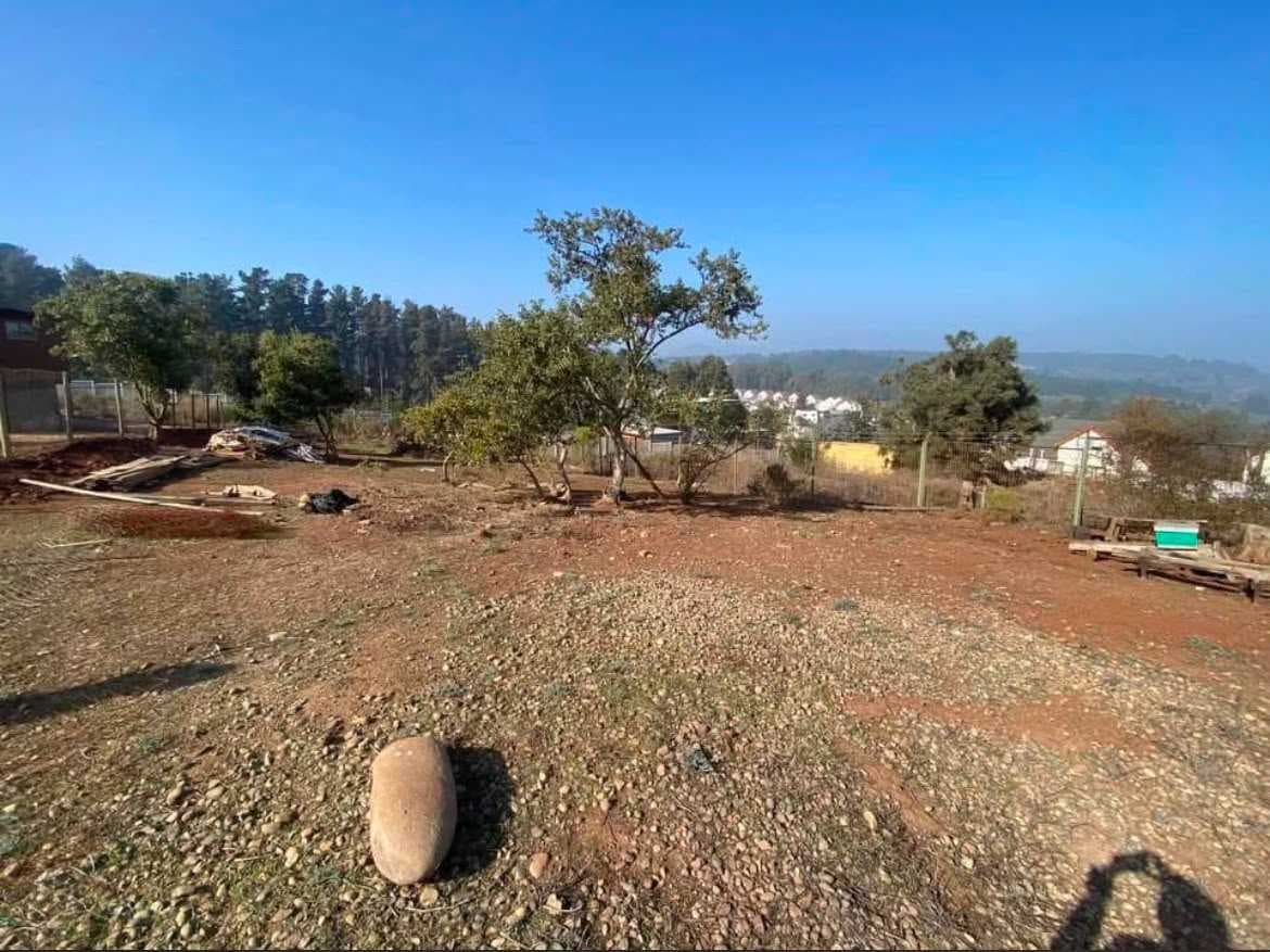 Terreno en Reñaca (175447)