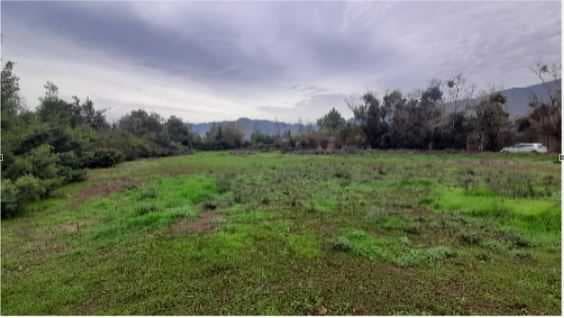 Venta Terreno urbano 6.368 m2 Nogales (176917)