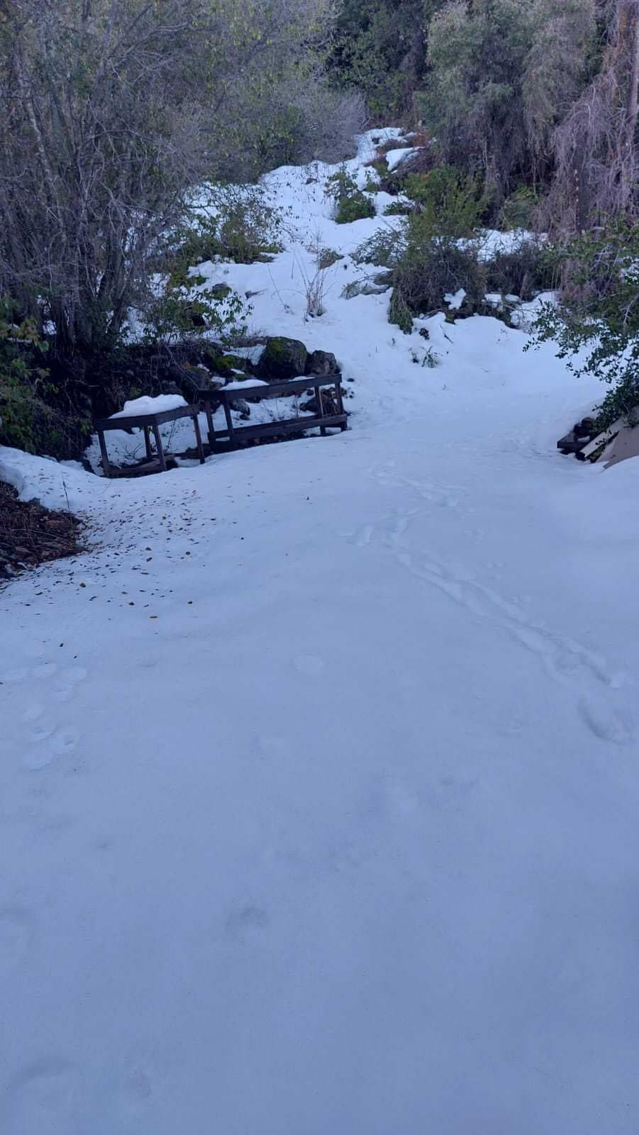 San Jose de Maipo (74085)