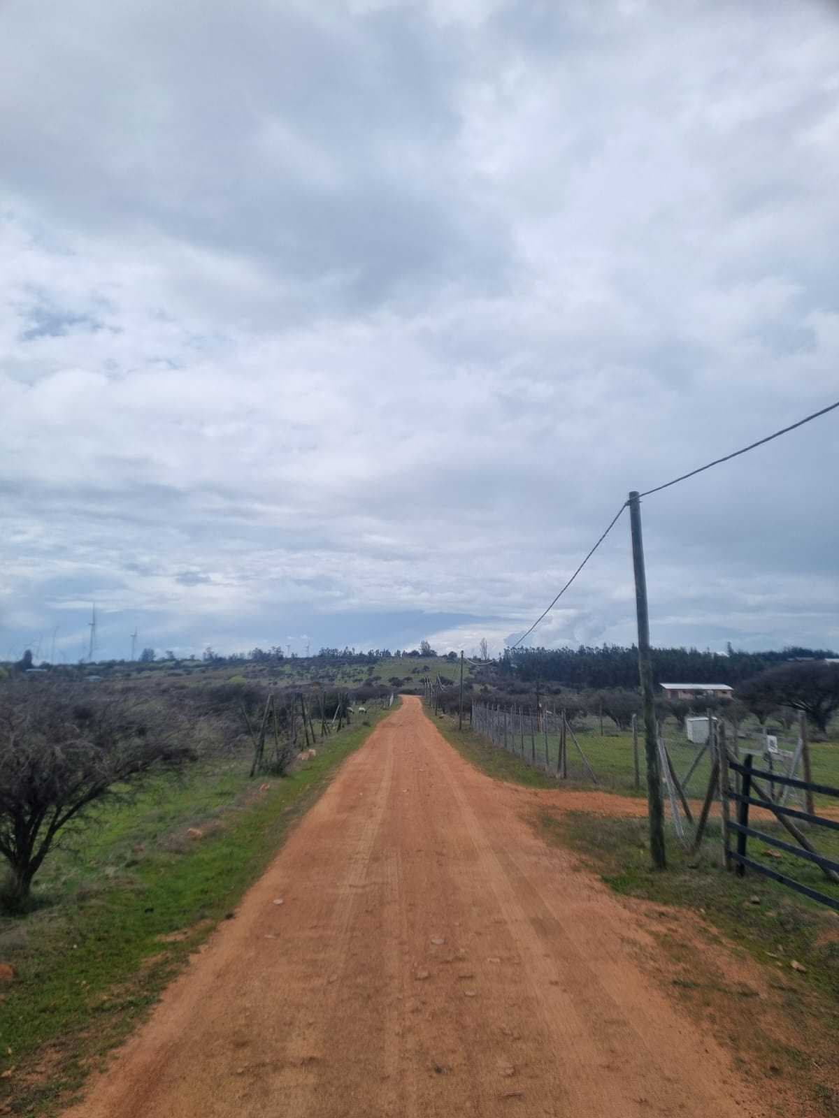 Parcela sector residencial (183663)