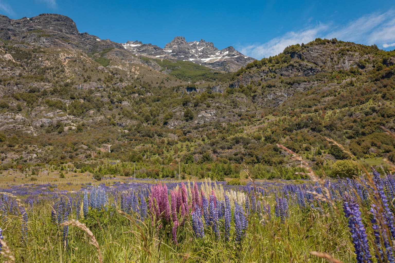 Parcelas en Río Emperador Guillermo, Aysén (64862)