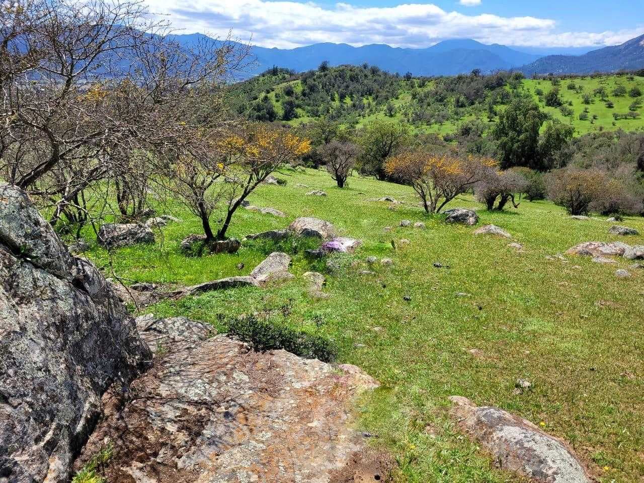 Oportunidad! Terreno Ideal para Inversión (168915)