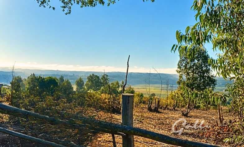 Terreno Ideal para Inversión y Desarrollo (164224)