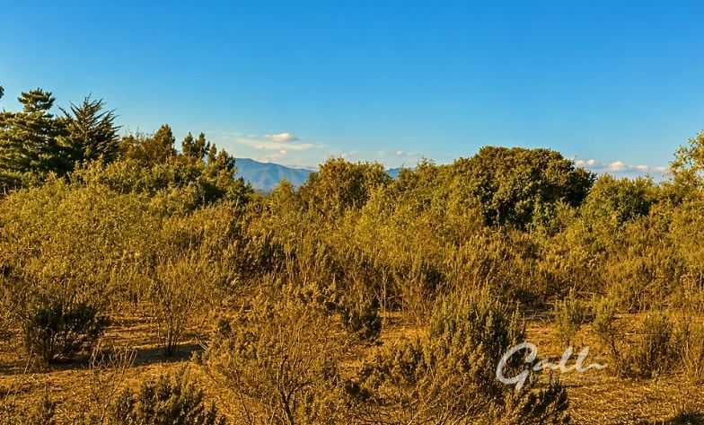 Terreno Ideal para Inversión y Desarrollo (164224)