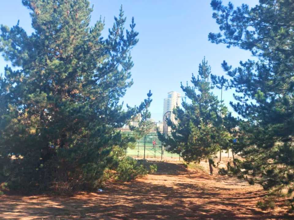 Los Pinos/Reñaca Bajo/Viña del Mar (178500)