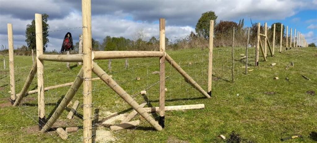 Campo 7,4 Has en Río Bueno-Lago Ranco (64744)