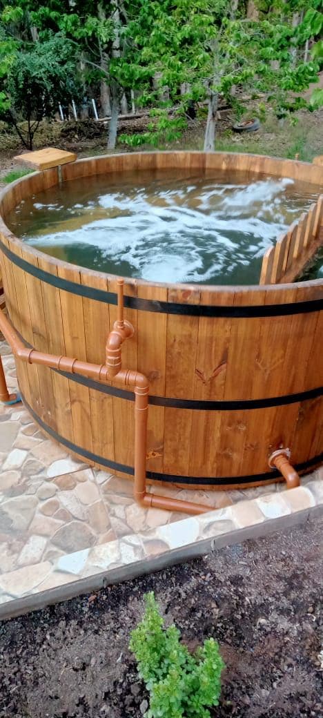 Cabañas, con piscina, tinaja, Vicuña (88008)