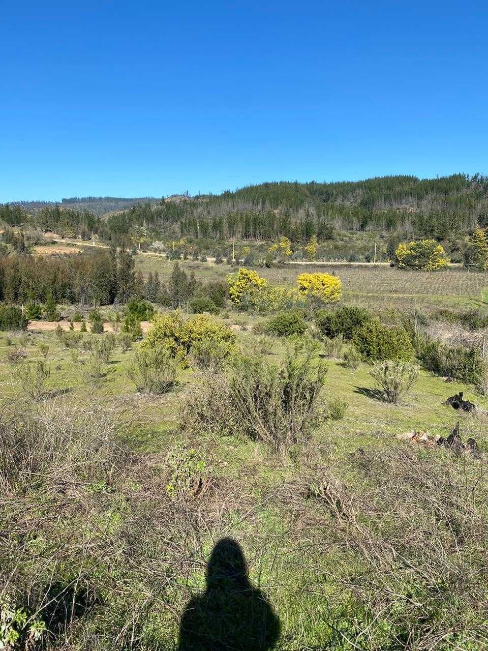 Parcela con Rol, Hualañe, VIchuquen, Duao (69268)