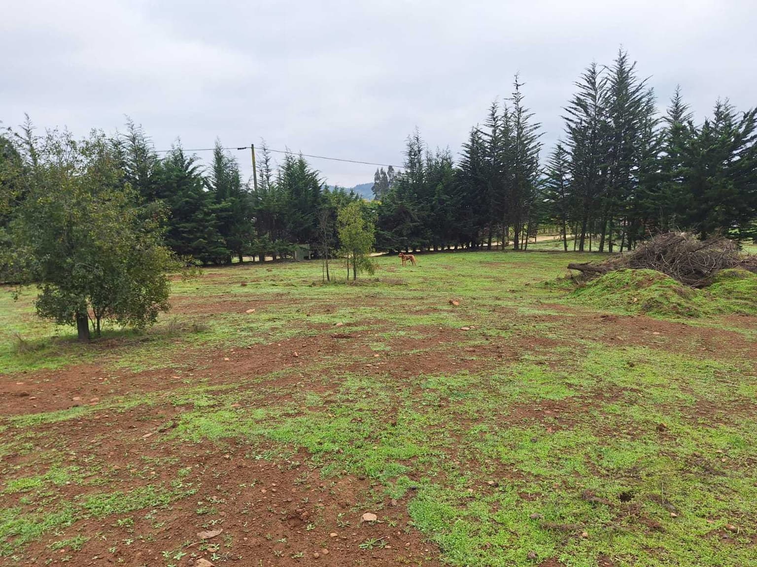 Parcela en Condominio Valle del Estero (181454)