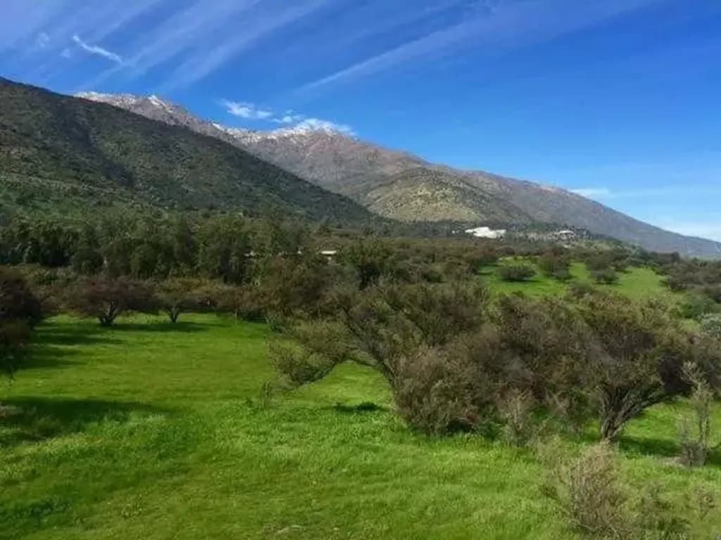 Oportunidad: Cercano Universidad A. Ibañez (67568)