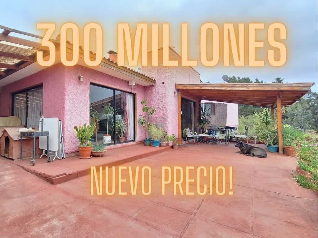 Tabolango: tu santuario privado. (142632)