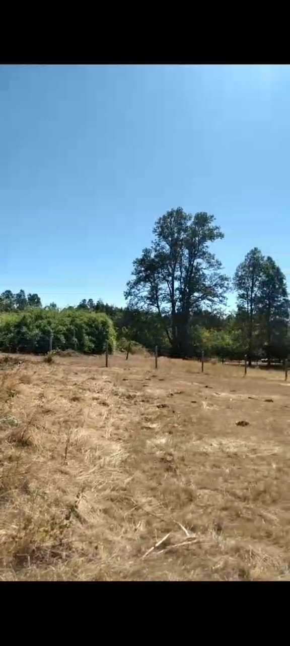 al poniente estero (86383)