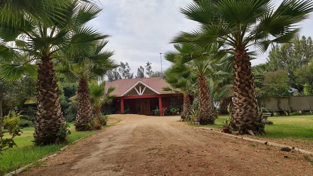 Oportunidad 5000 mt2 2 casas en Alto Rumay (63037)