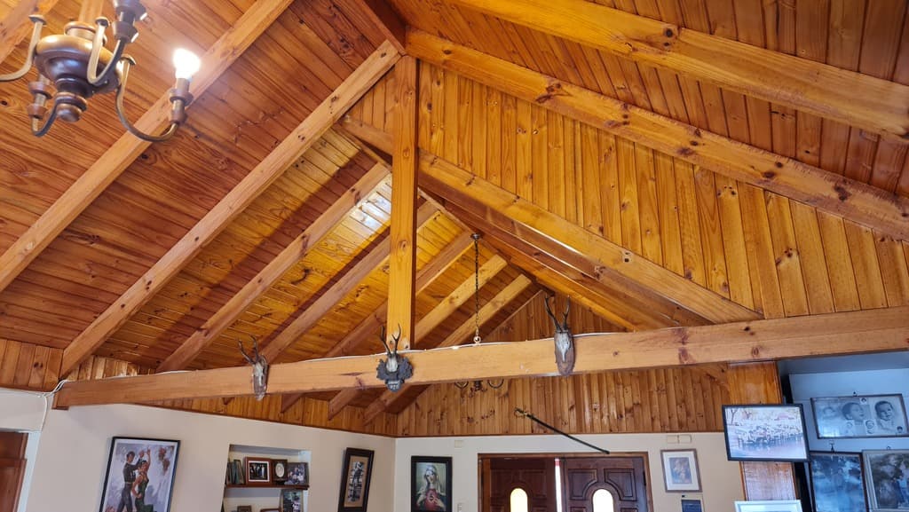 Oportunidad 5000 mt2 2 casas en Alto Rumay (63037)