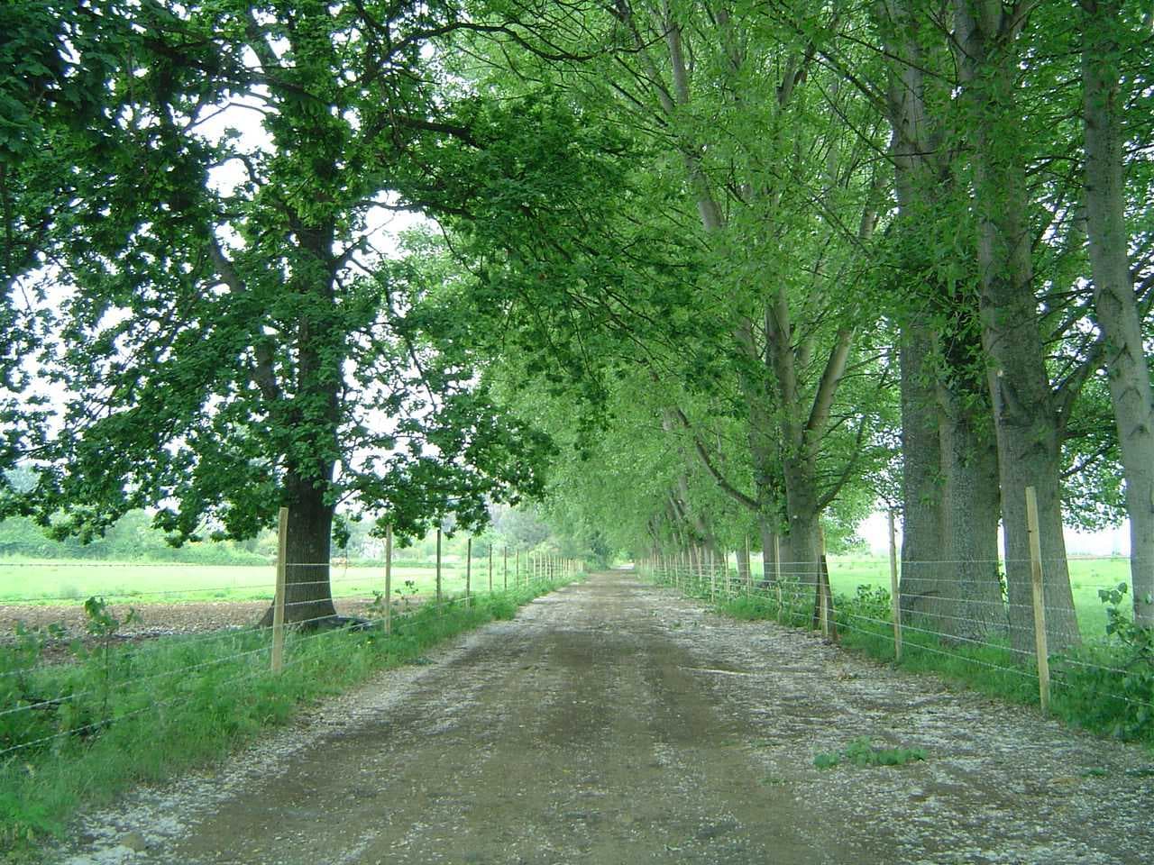 Fundo en venta Linares, 20 hectáreas urbanas (89921)