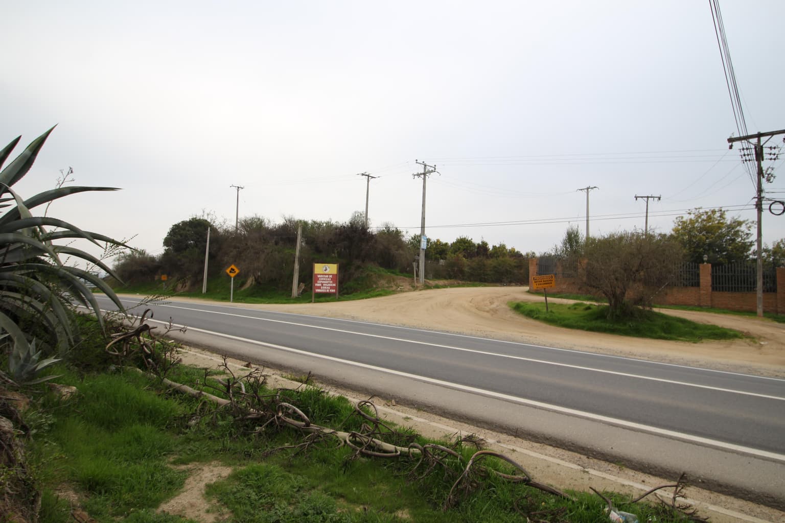 Melipilla (156251)