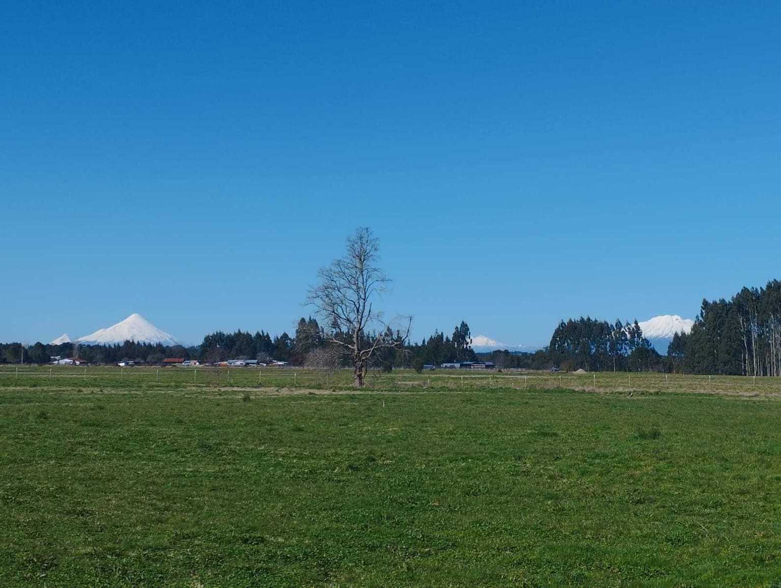 Parcela a la venta a 15 km de Puerto Varas (11267)