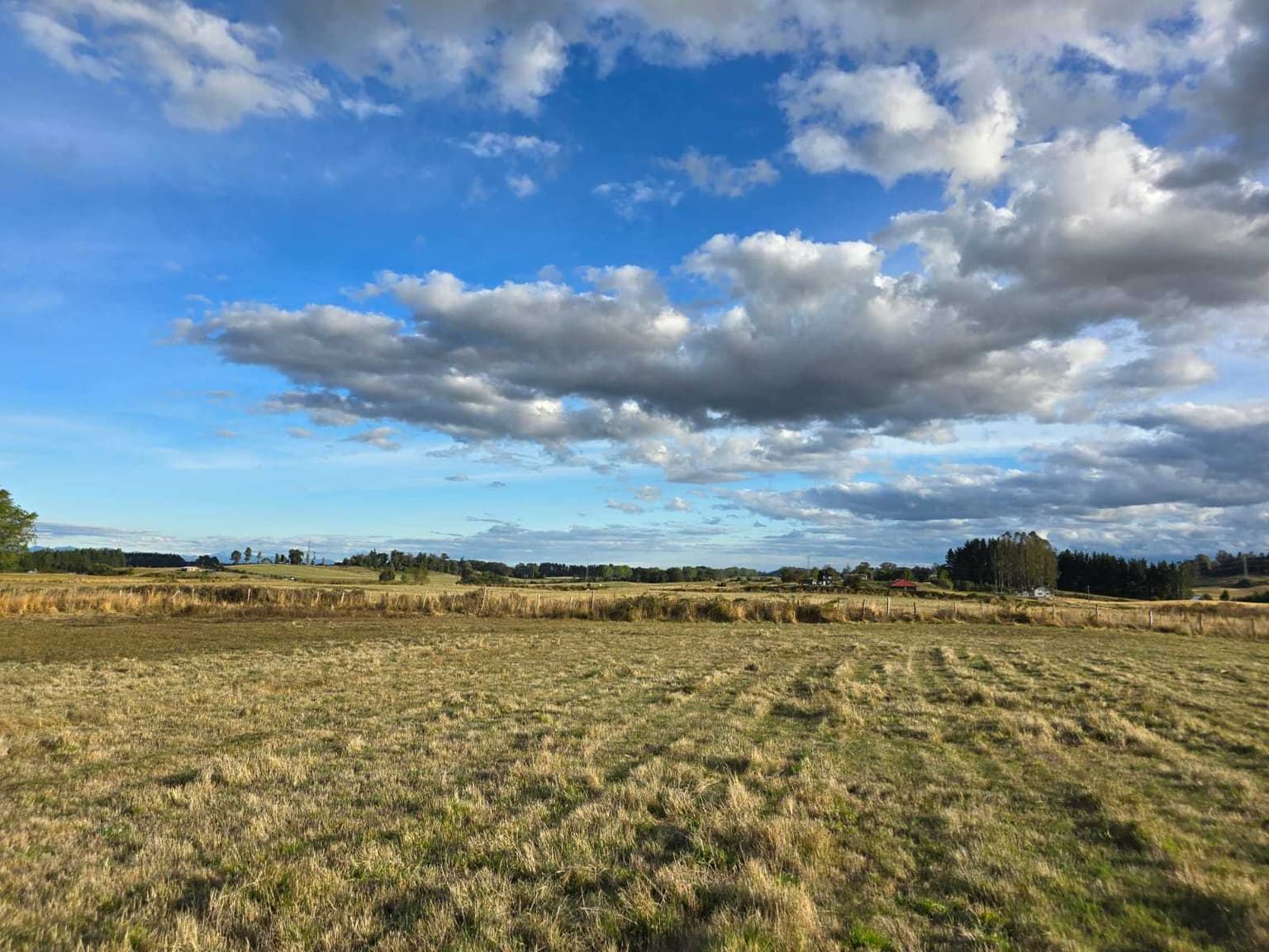Parcelas en sector de Pichilaguna Llanquihue (89477)
