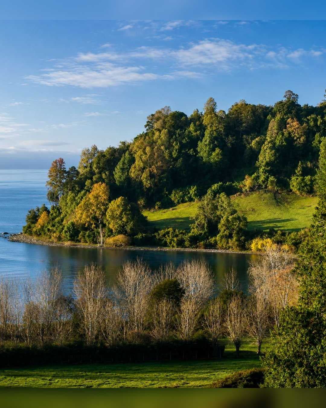 Espectacular terreno en Frutillar Bajo (178728)