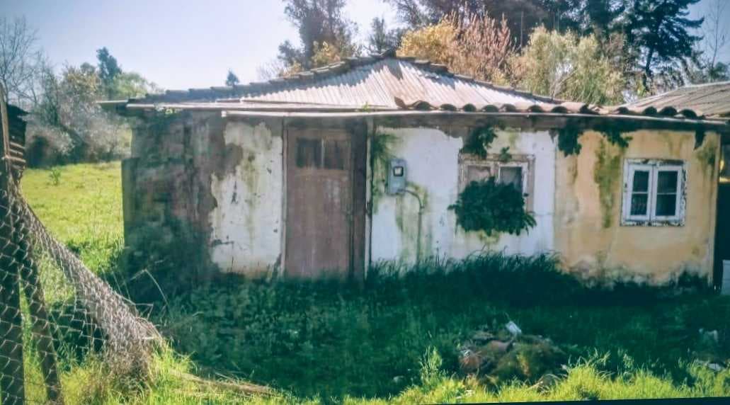 Oportunidad Única en Entorno Natural (131831)