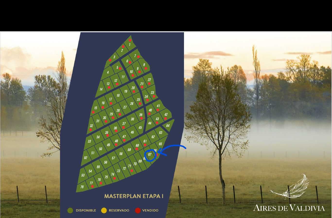 Oportunidad única de 5.000 m² cerca de Mehuín (138275)